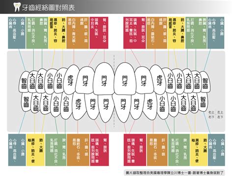 牙齒與經絡 星盤測試